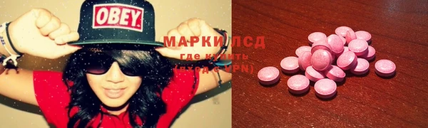спиды Магас