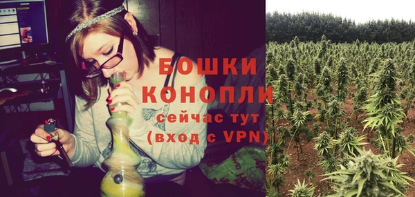 гидра Михайлов