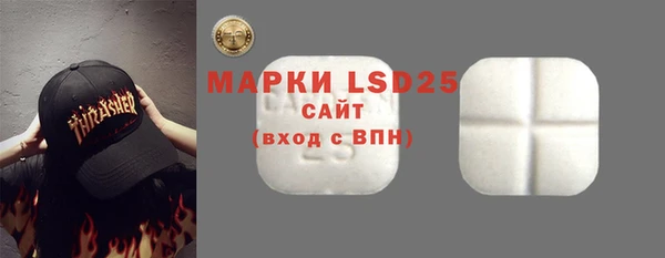 спиды Болотное