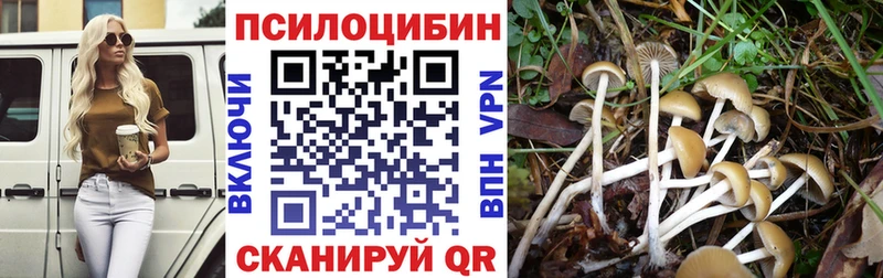как найти наркотики  Новотроицк  Псилоцибиновые грибы Magic Shrooms 